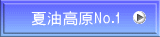 ĖNo.1