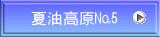 Ė5